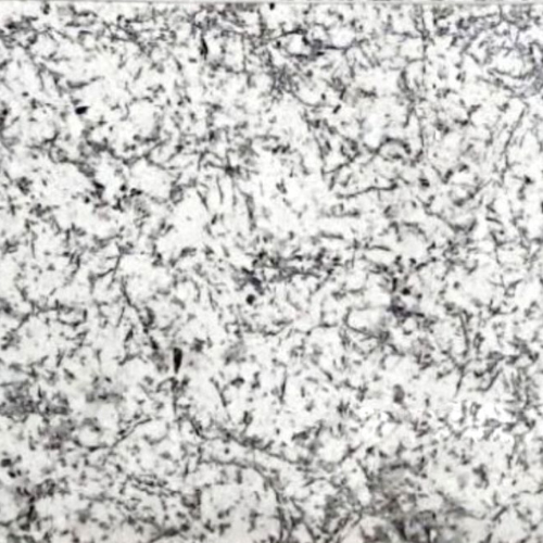 Nova White granite